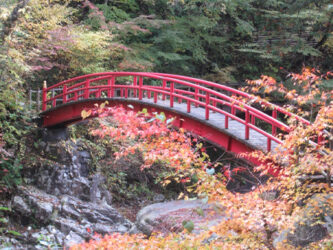 夕森渓谷 イメージ